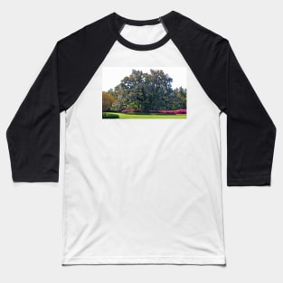 Airlie Oak In The Spring Baseball T-Shirt